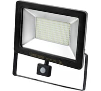 Светодиодный прожектор HOROZ ELECTRIC С ДАТЧИКОМ PUMA/S-100 068-004-0100 100W Черный 6400K 175-250V HRZ33002945