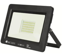 Светодиодный прожектор HOROZ ELECTRIC ASLAN-50 068-010-0050 50W Черный 6400K 175-250V HRZ00002822