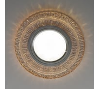 Встраиваемый светильник Elektrostandard 2225 MR16 GC тонированный a043151