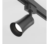 Потолочный светильник Elektrostandard MRL 1001 Vetro Черный GU10 a043142