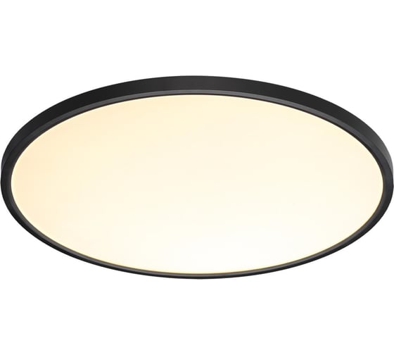 Настенно-потолочный светильник СОНЕКС LED 48W ALFA BLACK 7660/48 7660/48L