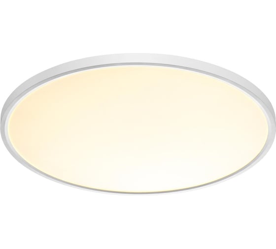 Настенно-потолочный светильник СОНЕКС LED 48W ALFA WHITE 7659/48L