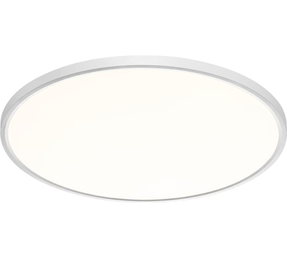 Настенно-потолочный светильник СОНЕКС LED 48W ALFA WHITE 7659/48L