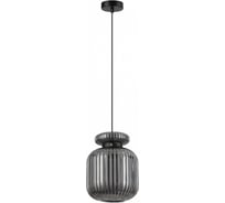 Подвес ODEON LIGHT E27, 60W, JUGI 5042/1B