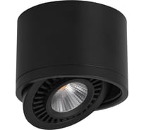 Светодиодный светильник FERON 10W, 900Lm, 4000К, 24 градуса, черный, поворотный, AL523 32699