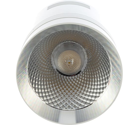 Светодиодный светильник FERON 10W, 900Lm, 35 гр, белый с хромированным кольцом, AL521 32467
