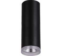 Светодиодный светильник FERON 25W, 2250Lm, 35 градусов, черный, D100H200 AL533 32510