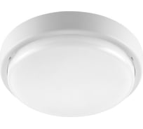 Светодиодный светильник WOLTA LCL12-RC-02