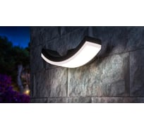 Садово-парковый светильник со светодиодами Elektrostandard черный A a035818