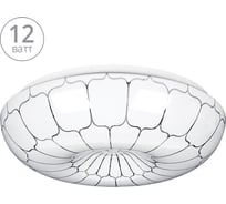 Светодиодный светильник Lumin'arte C01LLY12W