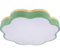 Потолочный светильник LOFT IT Axel 10225/36 Green