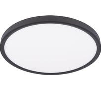 Потолочный светильник LOFT IT Extraslim 10227/40 Black