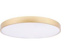 Потолочный светильник LOFT IT Flims 10228/B