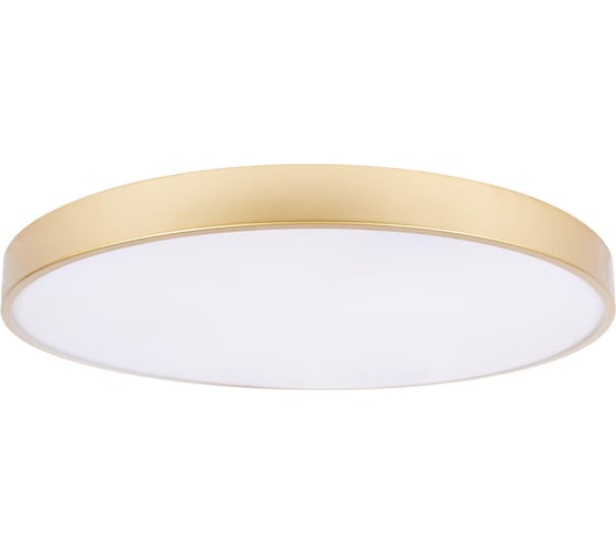 Потолочный светильник LOFT IT Flims 10228/B 1