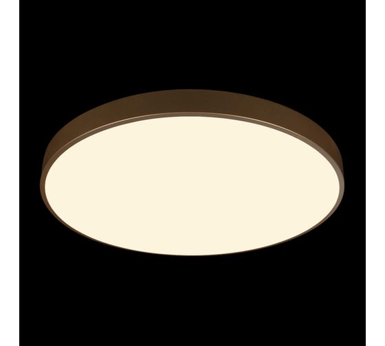 Потолочный светильник LOFT IT Flims 10228/B
