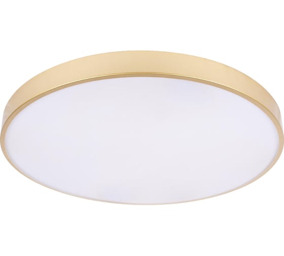 Потолочный светильник LOFT IT Flims 10228/B