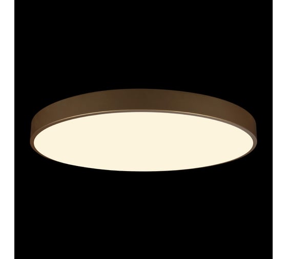 Потолочный светильник LOFT IT Flims 10228/B