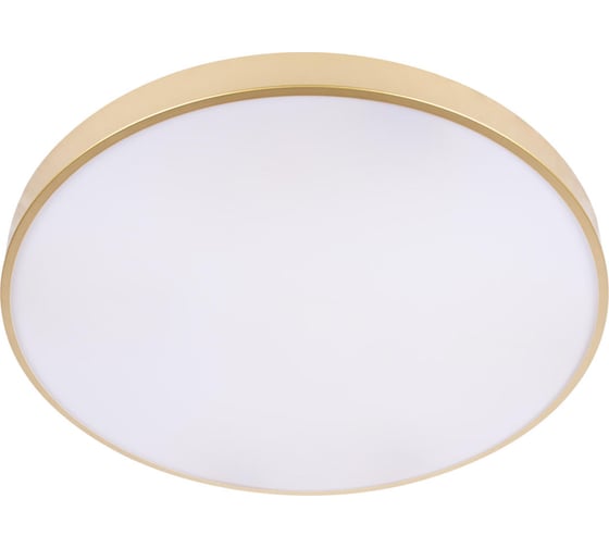 Потолочный светильник LOFT IT Flims 10228/B