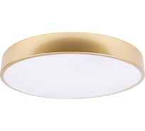 Потолочный светильник LOFT IT Flims 10228/A