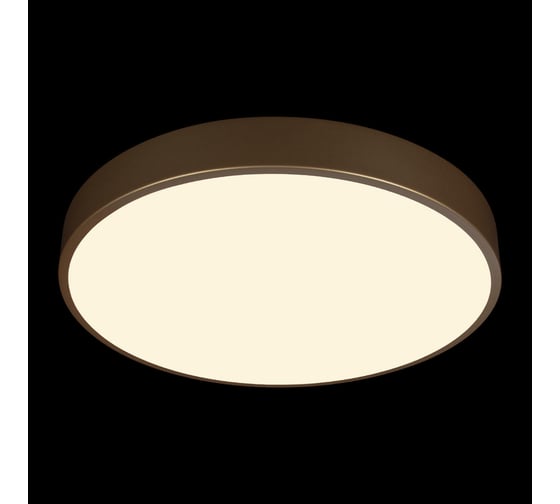 Потолочный светильник LOFT IT Flims 10228/A