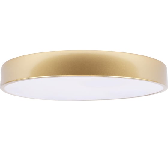 Потолочный светильник LOFT IT Flims 10228/A