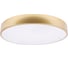 Потолочный светильник LOFT IT Flims 10228/A 1