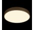 Потолочный светильник LOFT IT Flims 10228/A 2