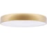 Потолочный светильник LOFT IT Flims 10228/A 3