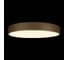 Потолочный светильник LOFT IT Flims 10228/A 4
