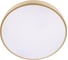 Потолочный светильник LOFT IT Flims 10228/A 5