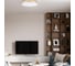 Потолочный светильник LOFT IT Flims 10228/A 7