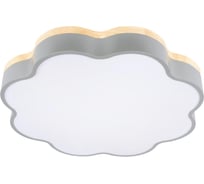 Потолочный светильник LOFT IT Axel 10225/36 Grey