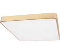 Потолочный светильник LOFT IT Flims 10228/D