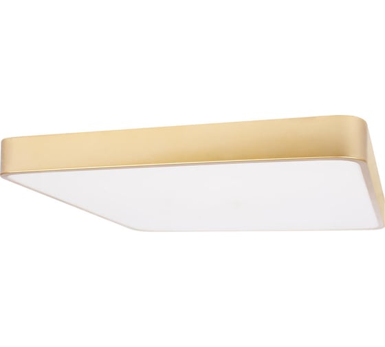 Потолочный светильник LOFT IT Flims 10228/D