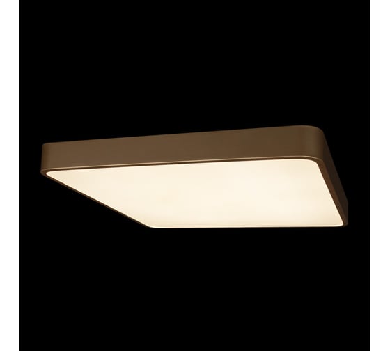 Потолочный светильник LOFT IT Flims 10228/D