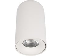 Потолочный светильник LOFT IT Tictac 10220 White 4000K