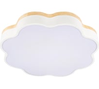 Потолочный светильник LOFT IT Axel 10225/36 White