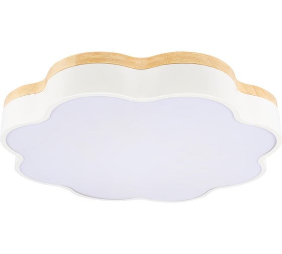 Потолочный светильник LOFT IT Axel 10225/36 White