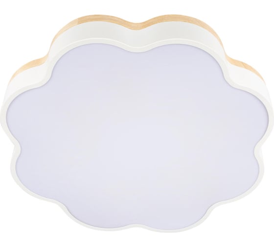 Потолочный светильник LOFT IT Axel 10225/36 White