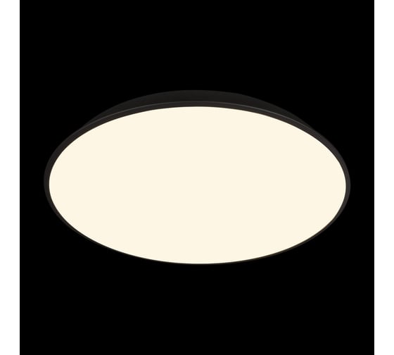 Потолочный светильник LOFT IT Brim 10226 Black