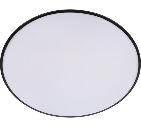 Потолочный светильник LOFT IT Brim 10226 Black