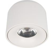 Потолочный светильник LOFT IT Tictac 10219 White 4000K