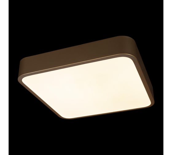 Потолочный светильник LOFT IT Flims 10228/C