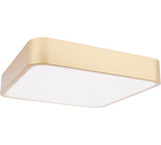 Потолочный светильник LOFT IT Flims 10228/C