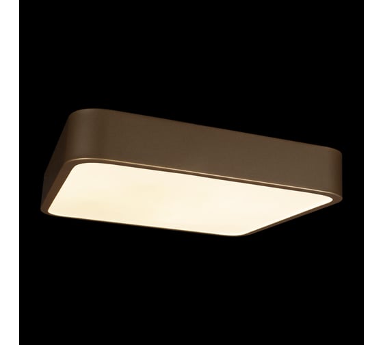 Потолочный светильник LOFT IT Flims 10228/C