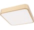 Потолочный светильник LOFT IT Flims 10228/C 1