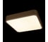 Потолочный светильник LOFT IT Flims 10228/C 2