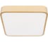 Потолочный светильник LOFT IT Flims 10228/C 5