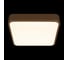 Потолочный светильник LOFT IT Flims 10228/C 6