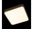 Потолочный светильник LOFT IT Flims 10228/C 8